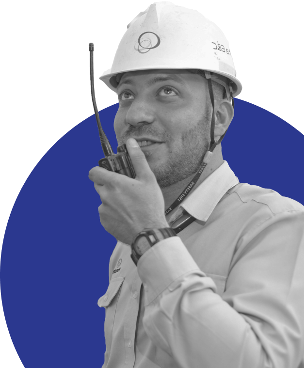 Project Execution